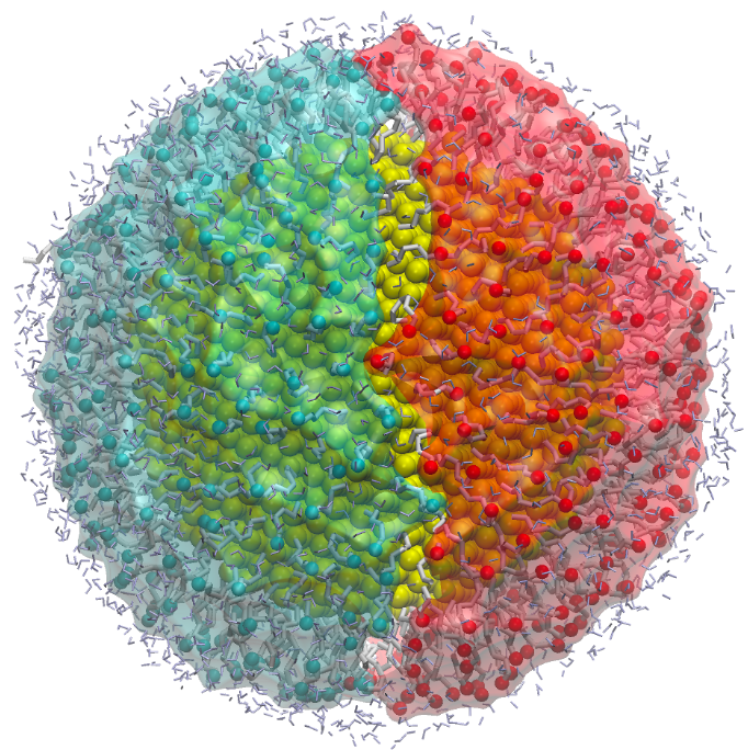 Image of Gold Janus nanoparticle